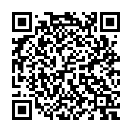 QR code for 493ARS