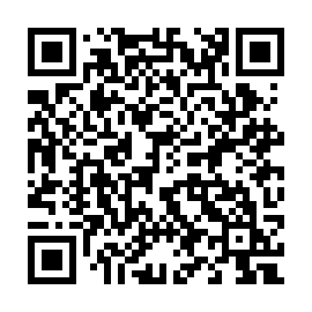 QR code for 493BKK