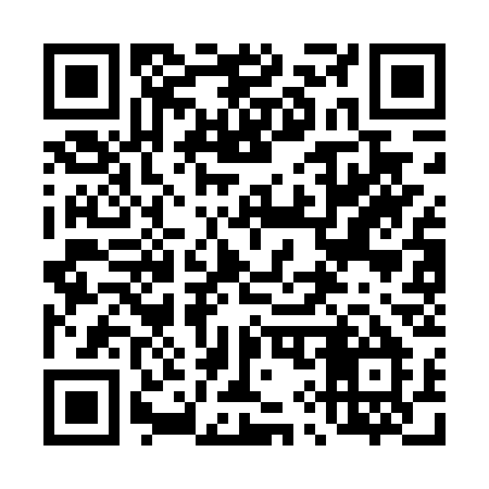 QR code for 493DSM