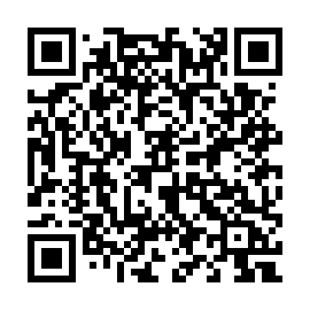 QR code for 493EXC