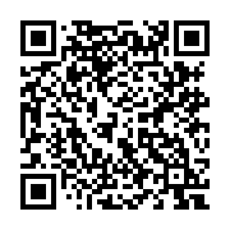 QR code for 493HCK
