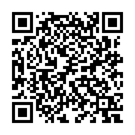 QR code for 493ICQ