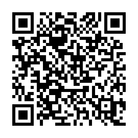 QR code for 493IZH