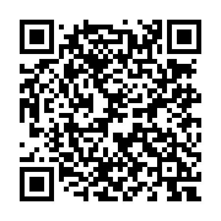 QR code for 493LDE