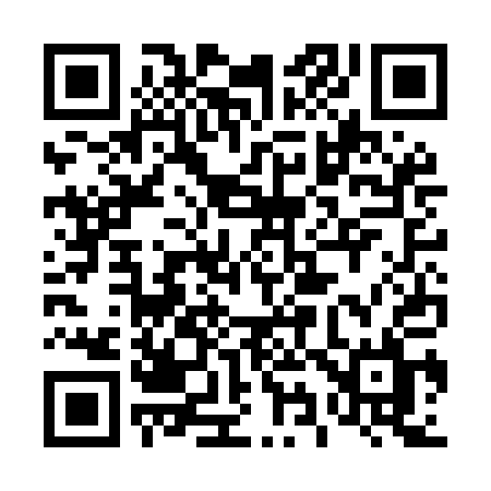 QR code for 493MAL