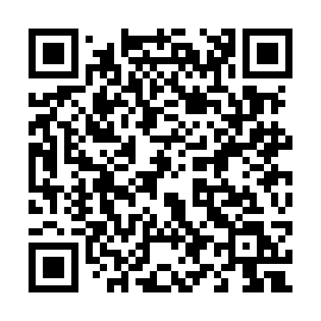 QR code for 493MCL