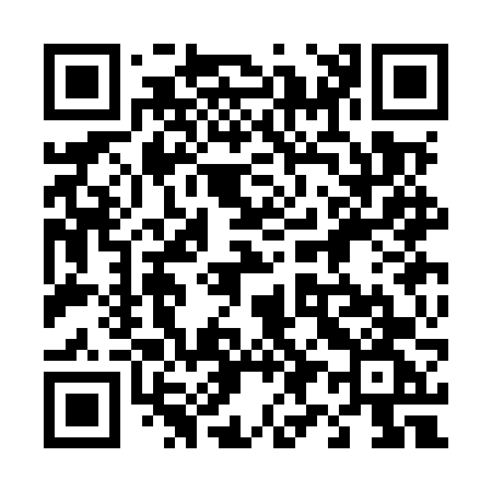 QR code for 493MVG