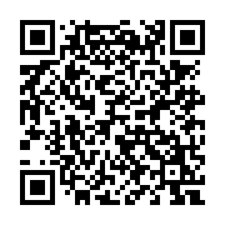 QR code for 493NMO