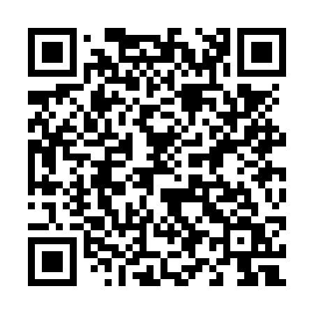QR code for 493NSV