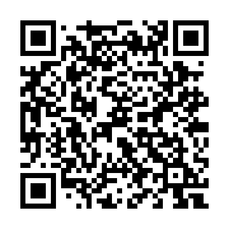 QR code for 493PAE