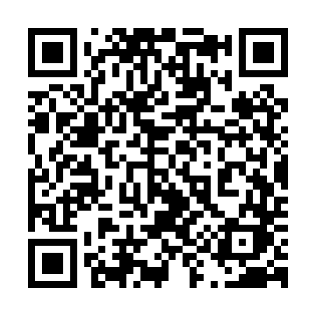 QR code for 493PTK