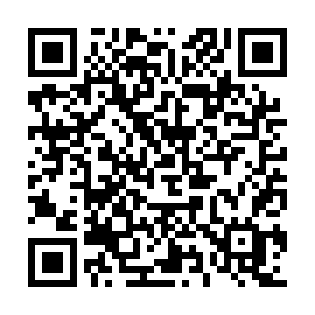 QR code for 493QDG