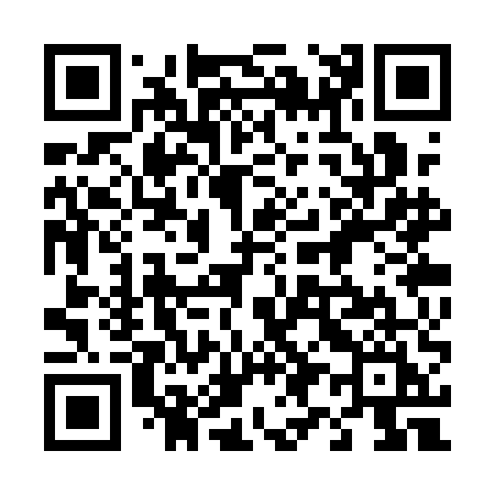 QR code for 493QEI