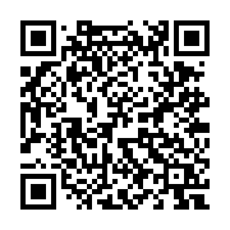QR code for 493TER