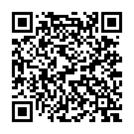 QR code for 493THI