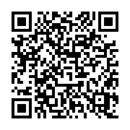 QR code for 493TOT