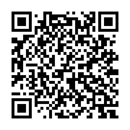 QR code for 493UEF