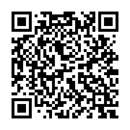 QR code for 493WZZ