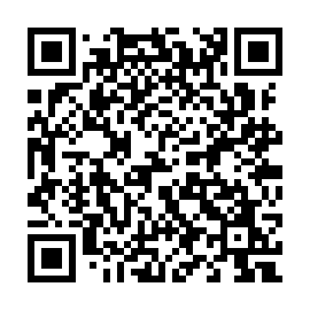 QR code for 493YGO