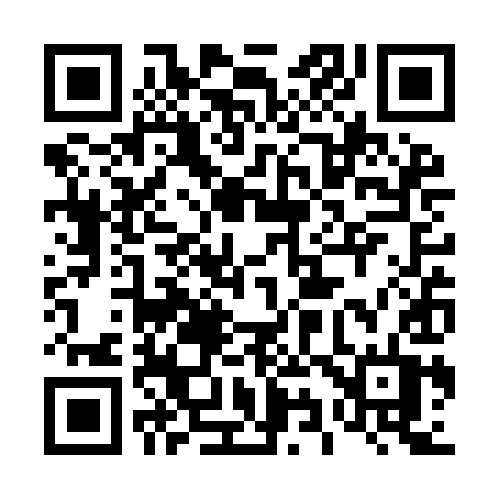 QR code for 493YIT
