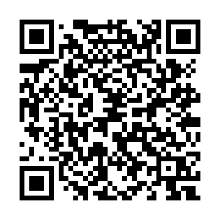 QR code for 493ZGR