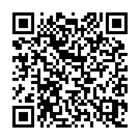QR code for 493ZIU