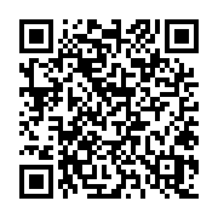 QR code for 495QLT