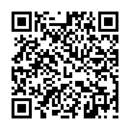 QR code for 495RNS
