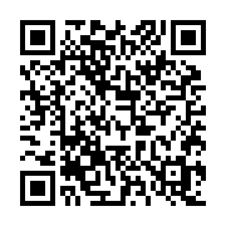 QR code for 495ZGM