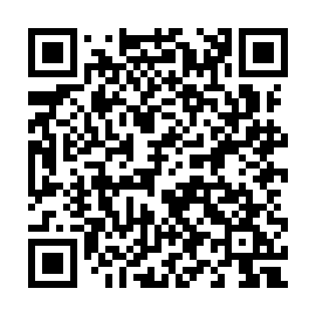 QR code for 498IEG