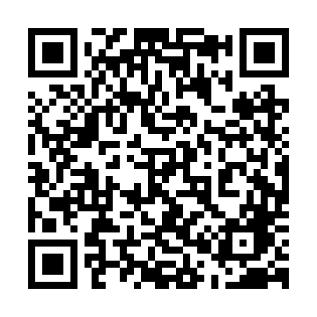 QR code for 500BTG