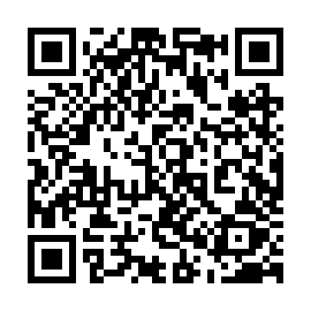 QR code for 500BZZ