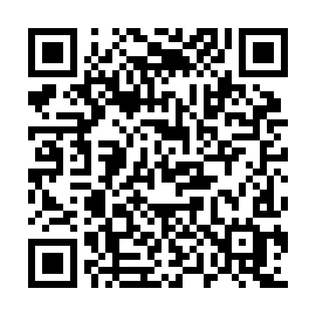 QR code for 500JIG