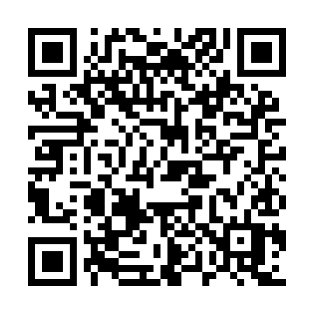 QR code for 501IIT