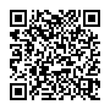 QR code for 501QAR