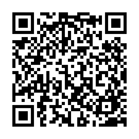 QR code for 507PIG