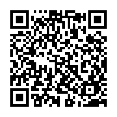 QR code for 509QID