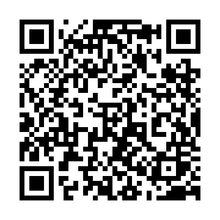 QR code for 509SOS