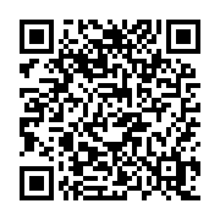 QR code for 509YSL