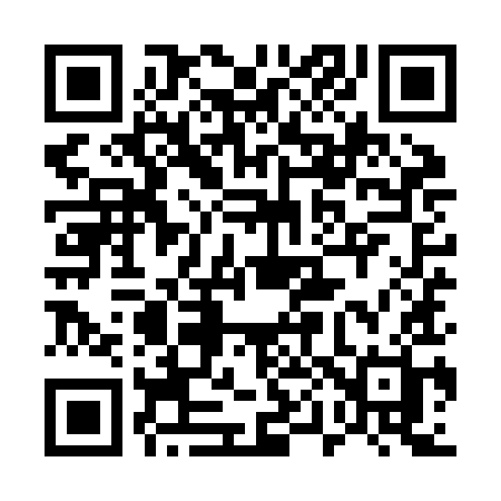QR code for 509ZIH