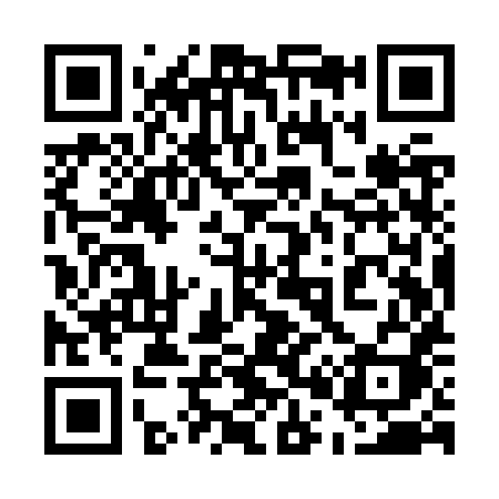 QR code for 509ZXI