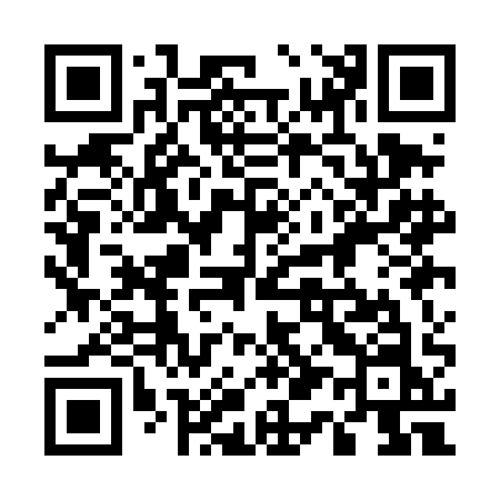 QR code for 511DAN