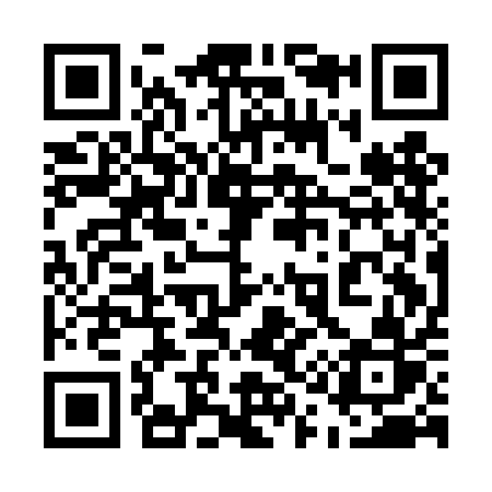 QR code for 511DAR
