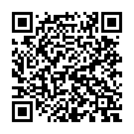 QR code for 511DPS