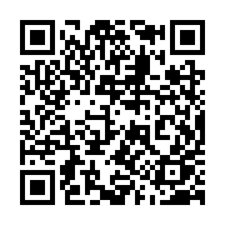 QR code for 511SPP