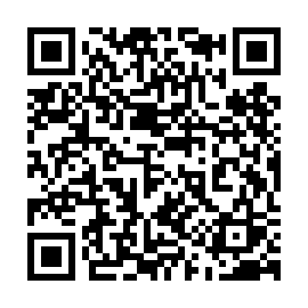 QR code for 519DCS