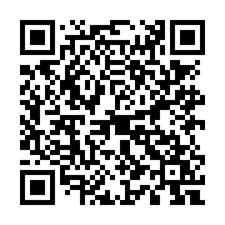 QR code for 519NEW