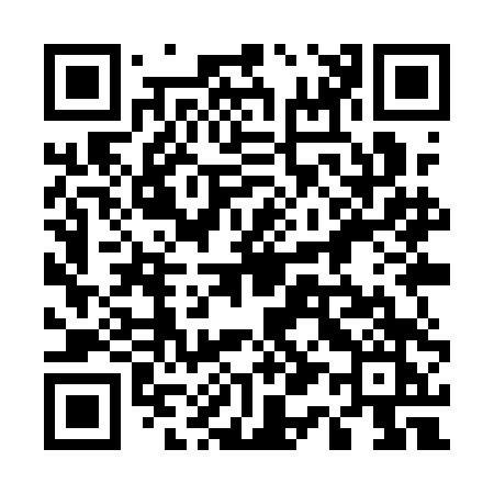 QR code for 519QDK