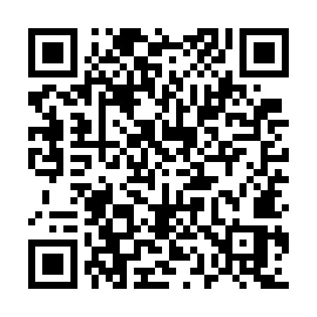QR code for 519WMS