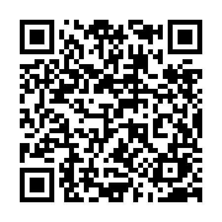 QR code for 519ZOL